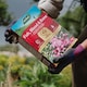 image 2 of Westland Fish, Blood & Bone Natural Plant Food Fertiliser NPK 3-9-3 8kg bucket