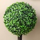 image 9 of HOMCOM Set of 2 Potted Artificial Plants Boxwood Ball Trees Indoor Outdoor, 60cm