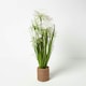 image 1 of Homescapes Artificial Open Flower Grass Plant In Rope Pot, 74 cm Tall