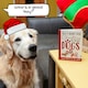 image 6 of All I Want For Christmas Is More Dogs