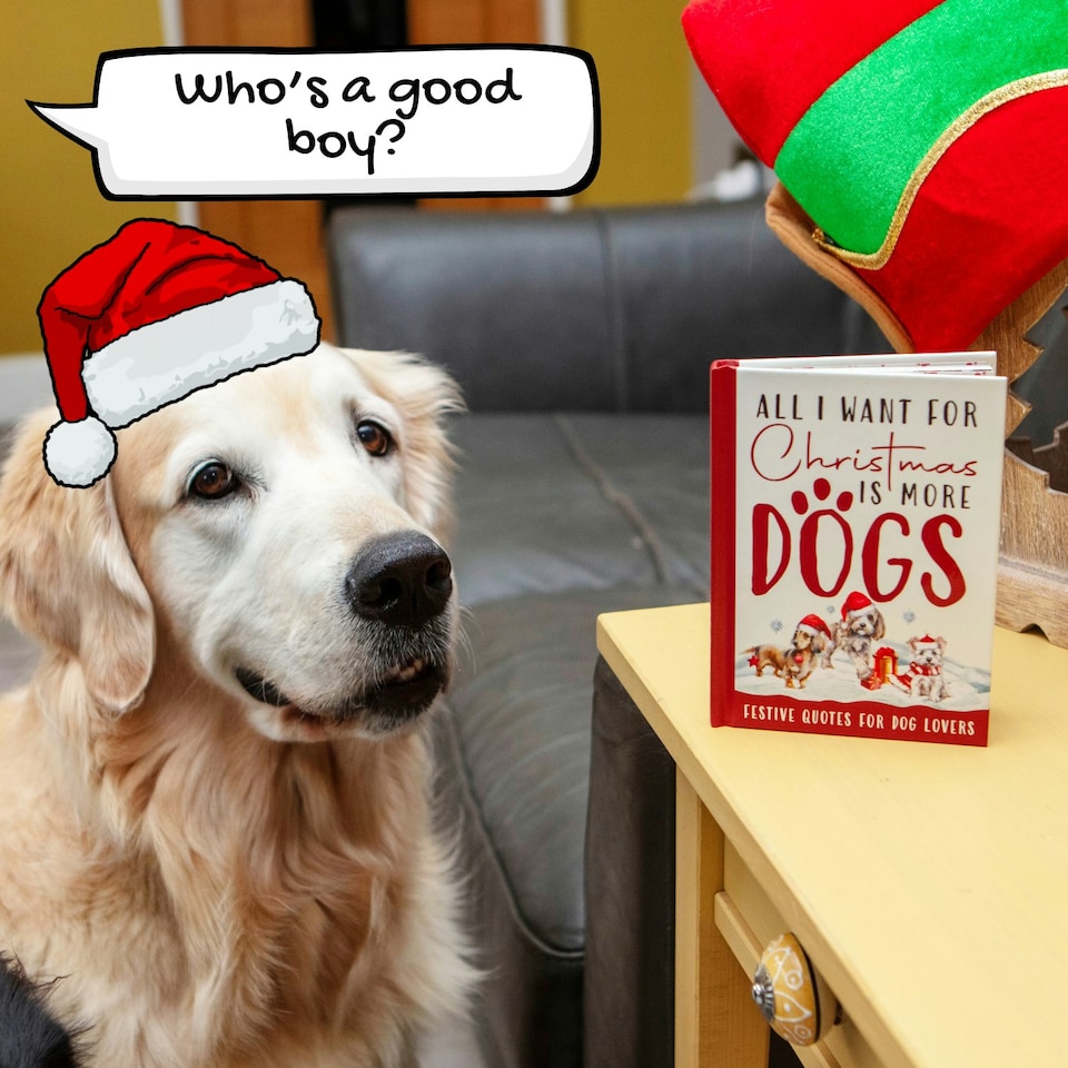 image 1 of All I Want For Christmas Is More Dogs