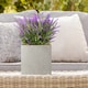 image 10 of Square Box Grey Light Concrete Garden Planter H25 L25 W25 cm, 16 ltrs Cap.