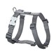 image 1 of Dog H-Harness Classic Cool Grey Grey | M