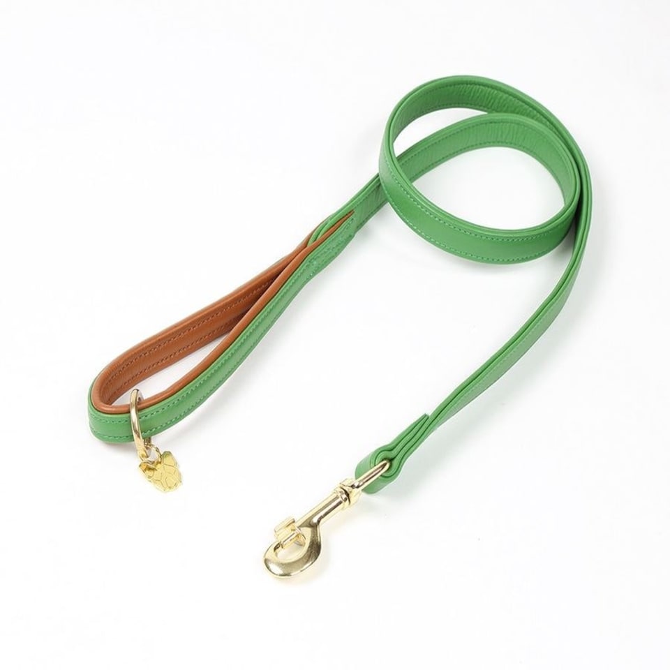 image 1 of Shires Digby & Fox Padded Leather Dog Lead Black | Size: 1.5Cm
Colour: Black