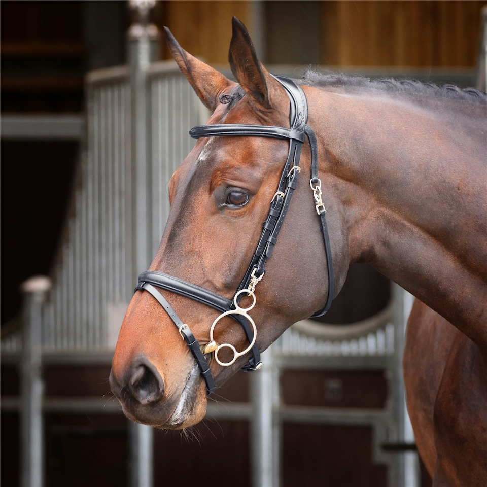 image 1 of Shires Velociti Rapida Training Bridle Brown | Size: X-Full
Colour: H.Brown