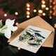 image 4 of John James Audubon Art Card Magpie Clarks Crow and Jays