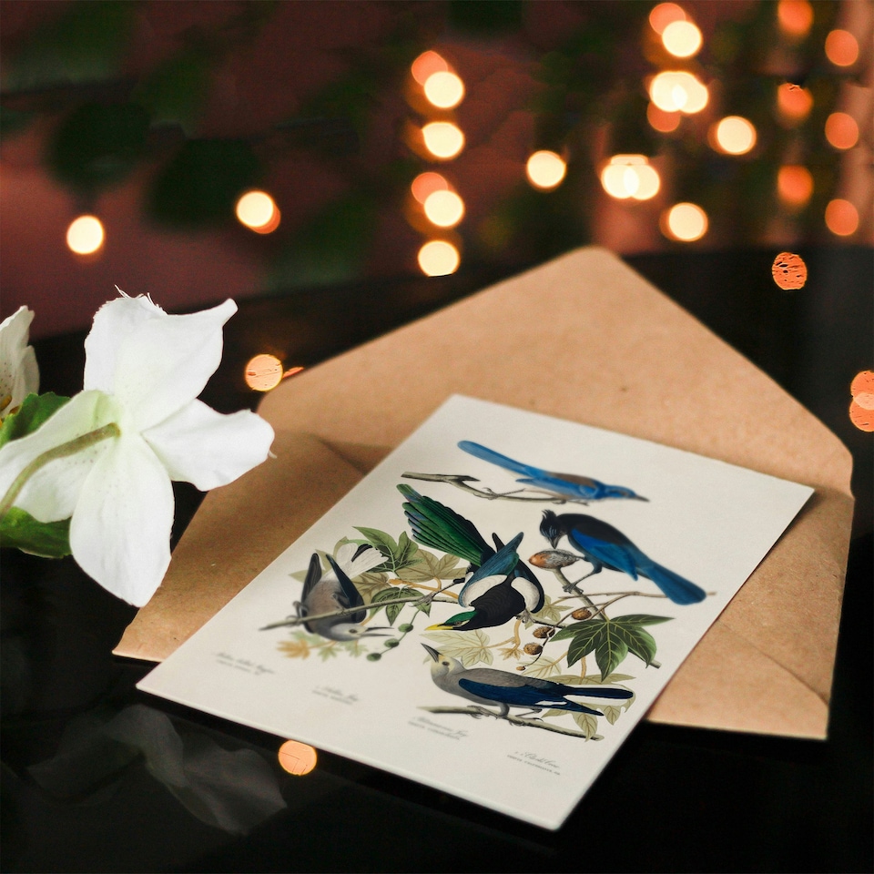 image 1 of John James Audubon Art Card Magpie Clarks Crow and Jays