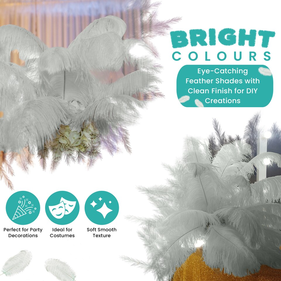 image 1 of 50cm - 60cm Large Ostrich Feathers, Showgirl Spadones - 5pcs