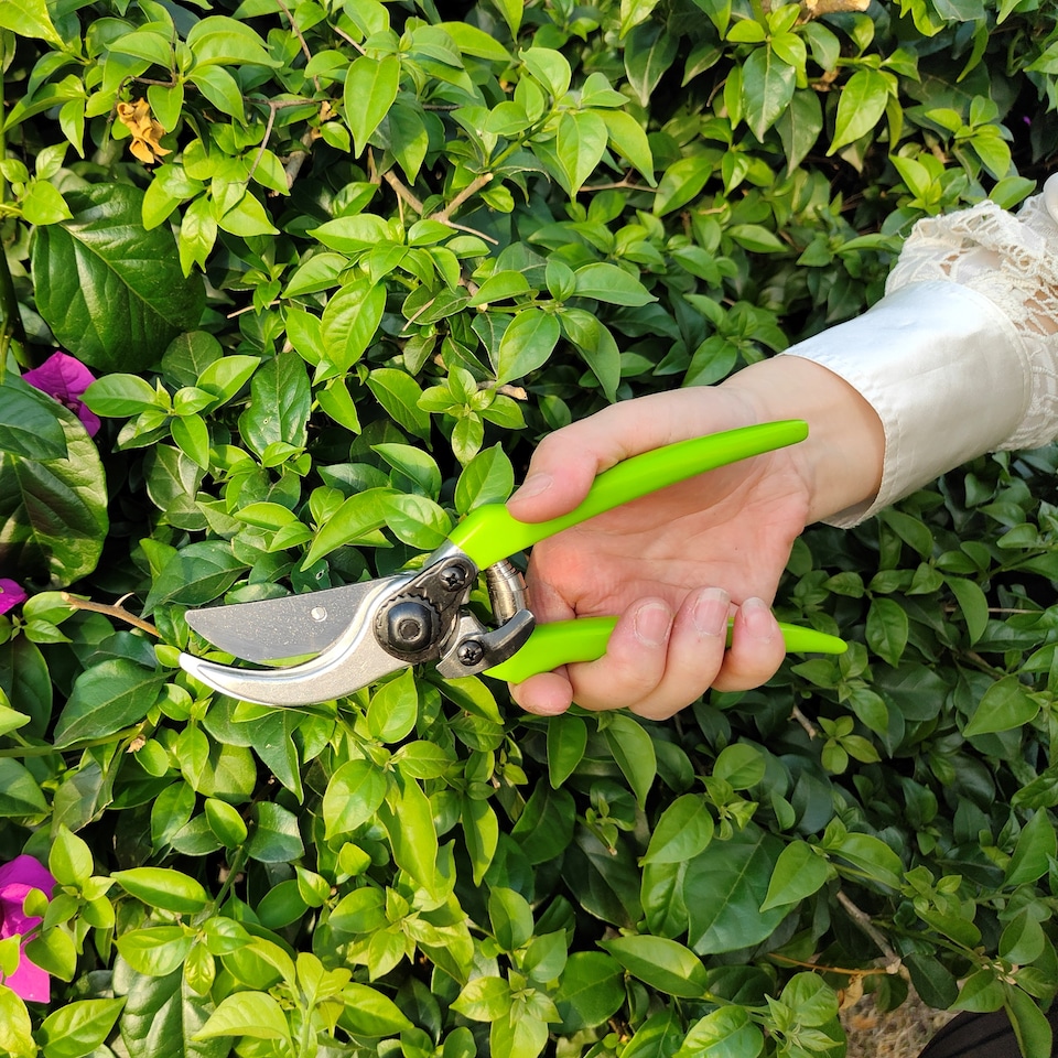 image 1 of Set Of 3 Gr8 Garden Tools Lopper Shears Secateurs Hedge Tree Cutter Pruning Trimmer