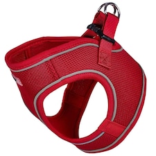 Bunty Voyage Harness Red | S