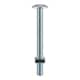 image 2 of Timco - Roofing Bolts & Square Nuts - Zinc (Size M6 x 100 - 2 Pieces)