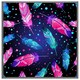 image 1 of Painted bird feathers (Picture Frame) Grey | L