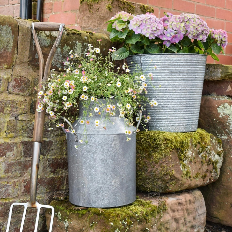 image 1 of Galvanised Milk Churn