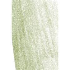 Faber-Castell - Pitt Pastel Pencil, Earth Green Yellowish (168) - FC112268