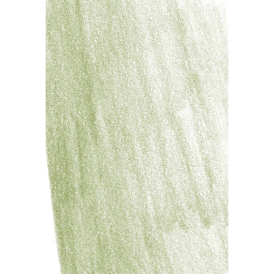 Faber-Castell - Pitt Pastel Pencil, Earth Green Yellowish (168) - FC112268