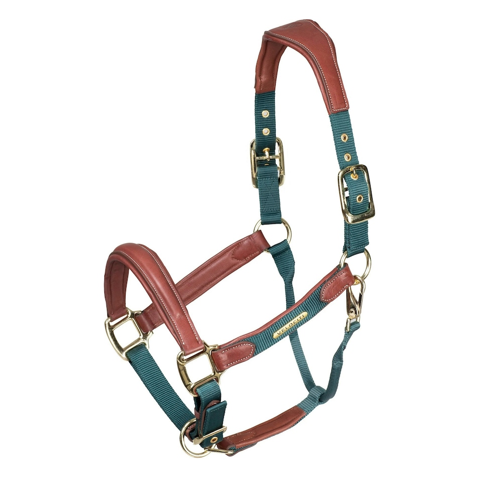 Velociti Lusso Leather Padded Horse Headcollar - Green - Pony