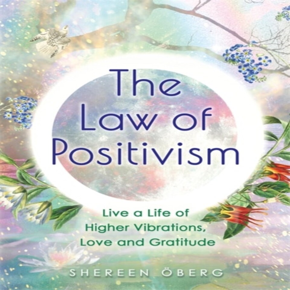 The Law Of Positivism