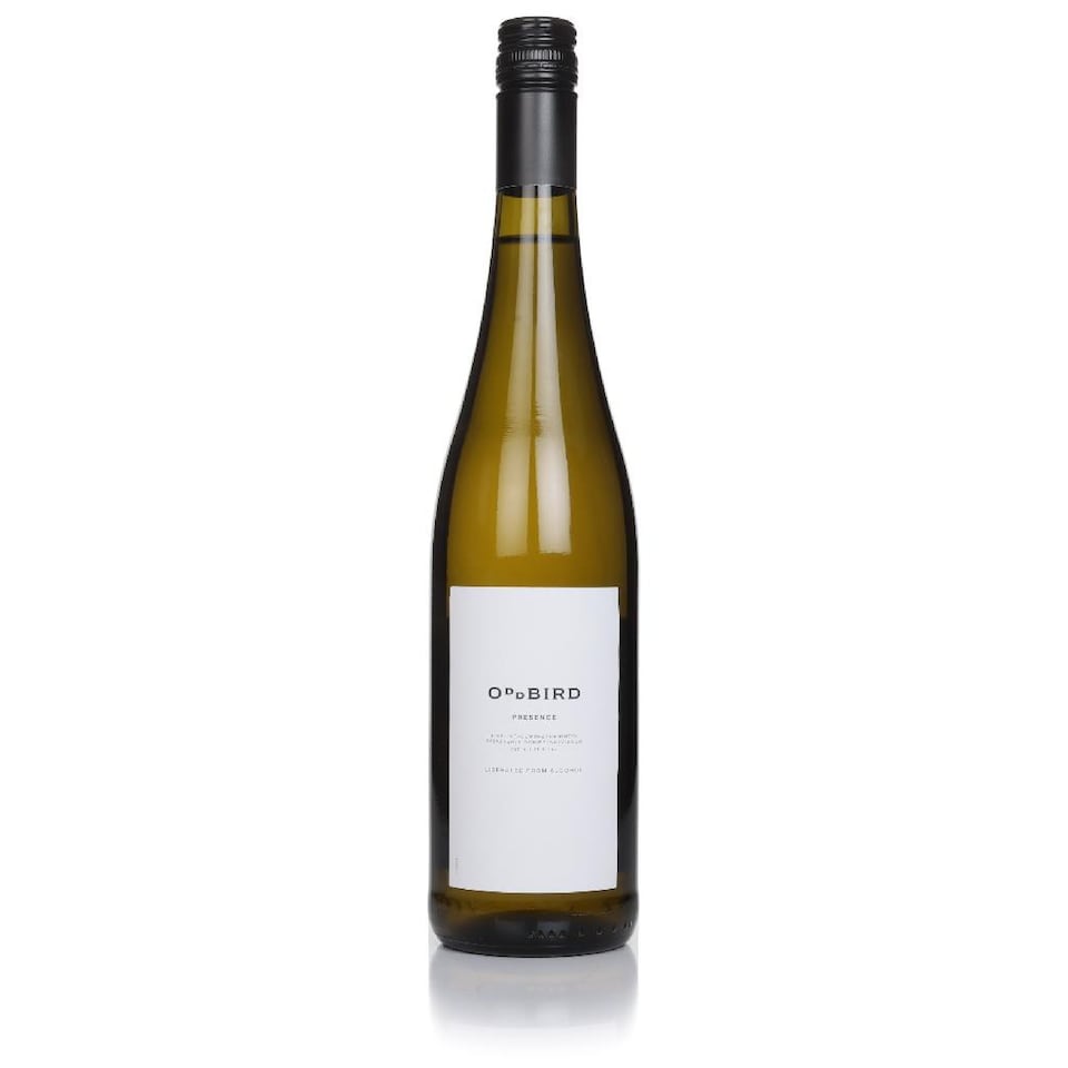 image 1 of Oddbird Presence