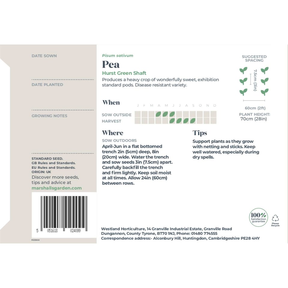 image 1 of Marshalls Garden Pea Seeds Hurst Green Shaft, RHS Award of Garden Merit, Disease-Resistant, Heavy Double Pods | Multi | Green | Seeds
