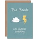 image 1 of True Weather Anything Friends Friendship Card