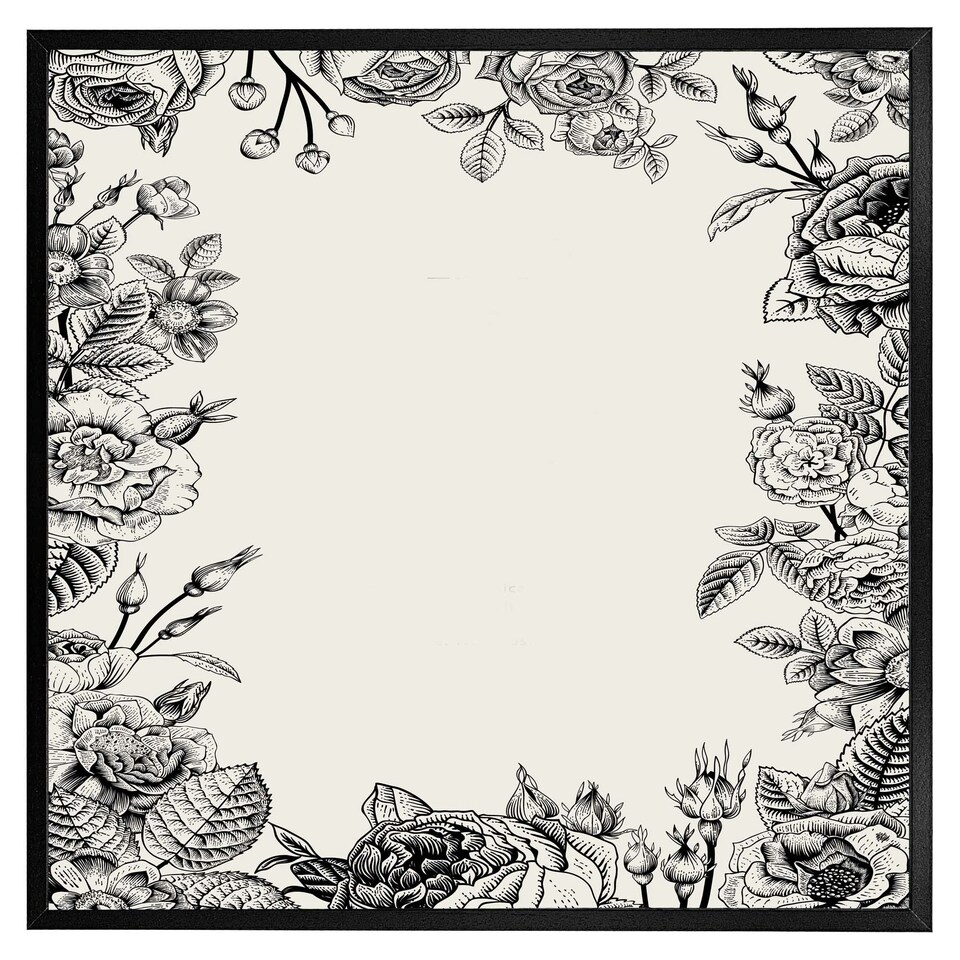 image 1 of Hand drawn roses (Picture Frame) White | S
