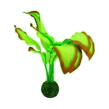 Aquatic Aquarium Fish Tank Self Sinking Medium Silk Plant Height 20cm (No 9)