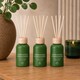image 1 of 3x Small Reed Diffuser Honeysuckle & Sandalwood Scented Home Fragrance Oil 50ml
