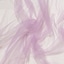 Glicine