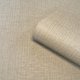 image 3 of Belgravia Decor Grasscloth Texture Beige