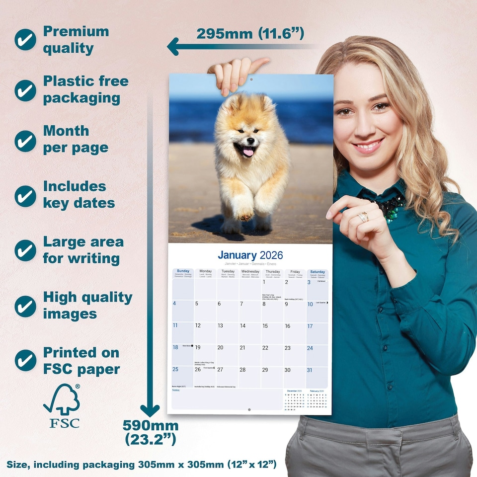 image 1 of Akita 2026 Calendar | Square Wall Calendar | Dog Breed Gift | Plastic Free Packaging | by Avonside Publishing