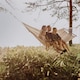 image 4 of Brasilia Cappuccino Hammock Multi | Cappuccino