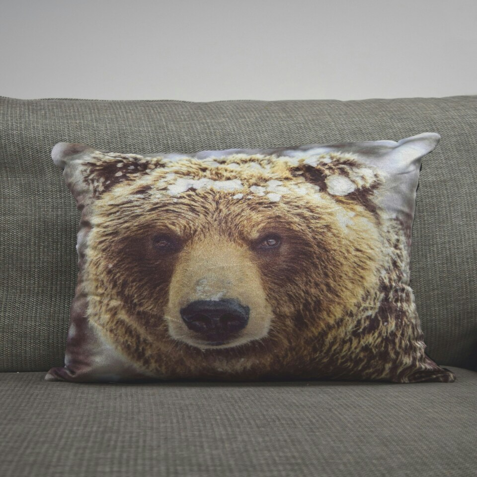 image 1 of Big Bear Cushion Cover with Cusion Pads (43x43 cm) Multi Multi