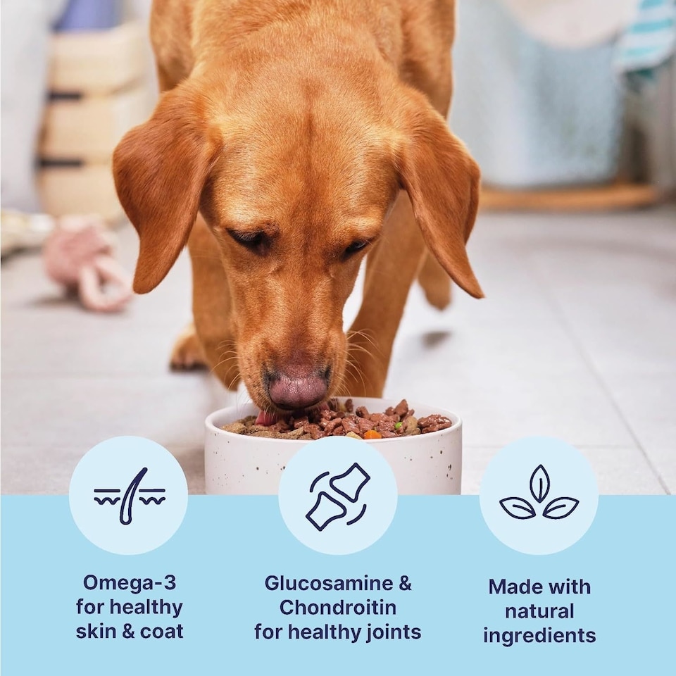 image 1 of Tails.com Inner Vitality Wet Dog Food Alu Tray Mature Chicken 11 x 150g