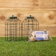 image 1 of Pack of 2 Samuel Alexander Metal Hanging Bird Fat Ball Feeder with Squirrel Guard & Pack of 6 Suet Fat Balls