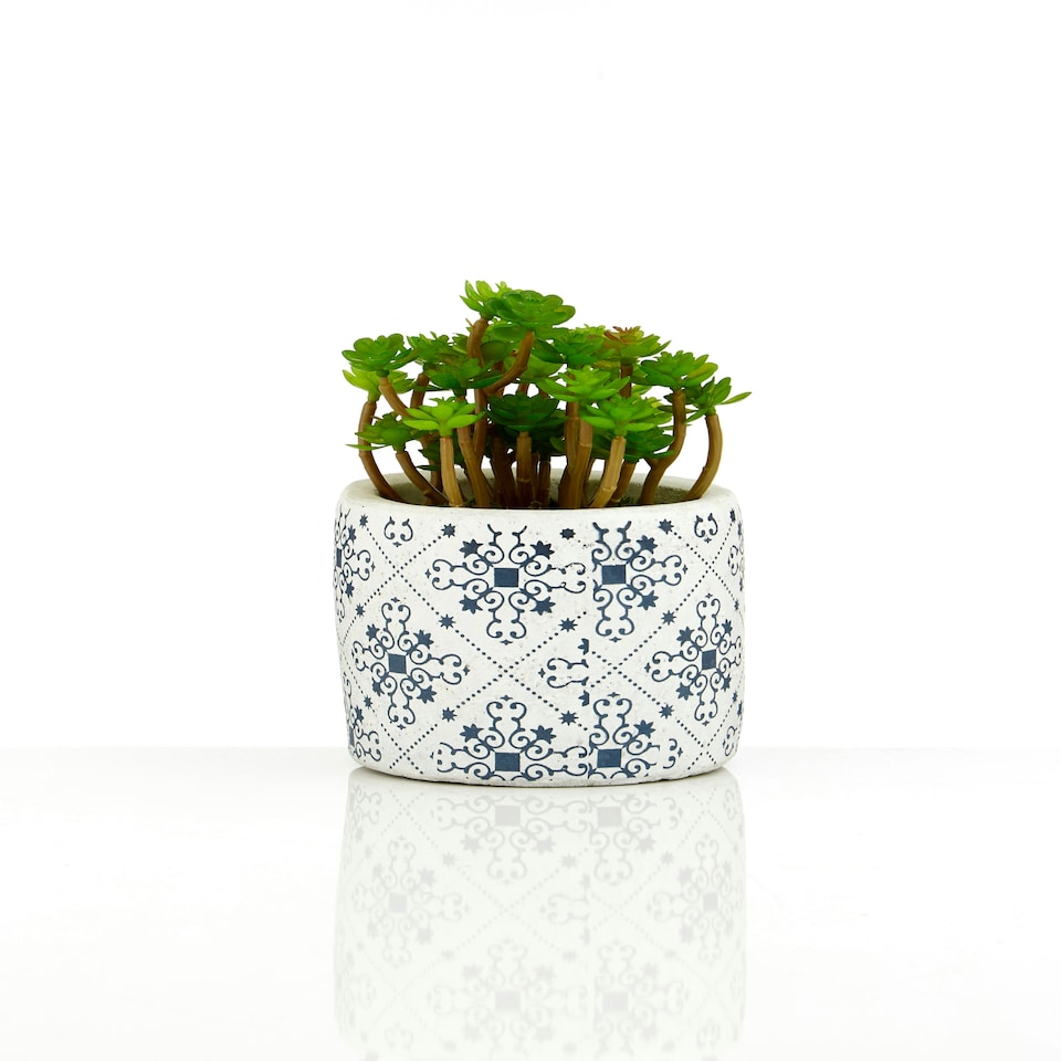 image 1 of Fiori Set of 3 Succulents in Henna Ceramic Pots