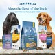 image 5 of Freeze-Dried Raw Dog Food Topper - Variety Pack (6 x 50g)