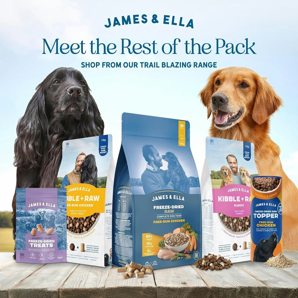 image 1 of Freeze-Dried Raw Dog Food Topper - Variety Pack (6 x 50g)