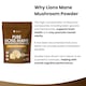 image 7 of Lions Mane Mushroom Powder - 100% Fruiting Body
