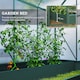 image 9 of Outsunny Walk-in Greenhouse Garden Polycarbonate Aluminium w Smart Window 6x6ft