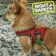 image 3 of Ancol Soft Blinker, Green