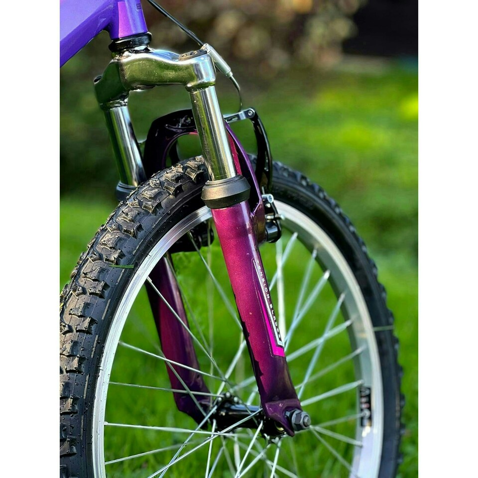 image 1 of Basis Princess 20" Girls Full Suspension Mountain Bike - Pearl Purple/Pink