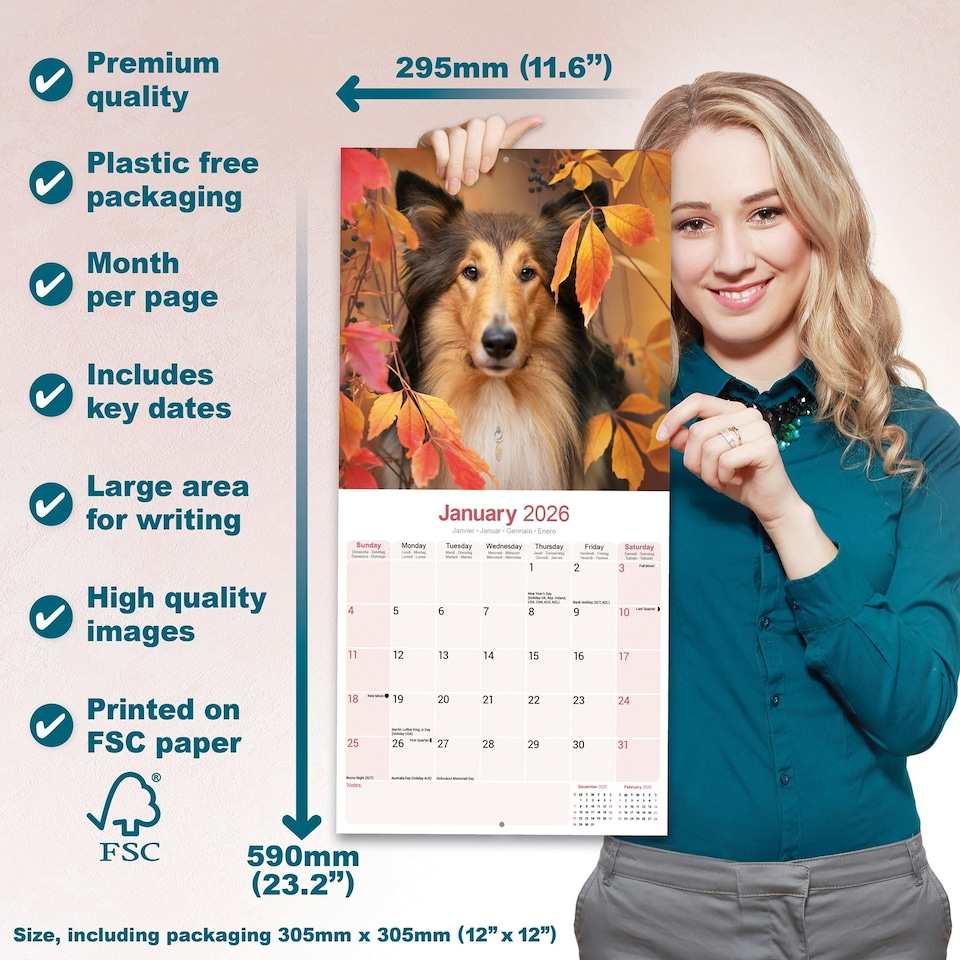 image 1 of Collie 2026 Calendar | Square Wall Calendar | Dog Breed Gift | Plastic Free Packaging | by Avonside Publishing