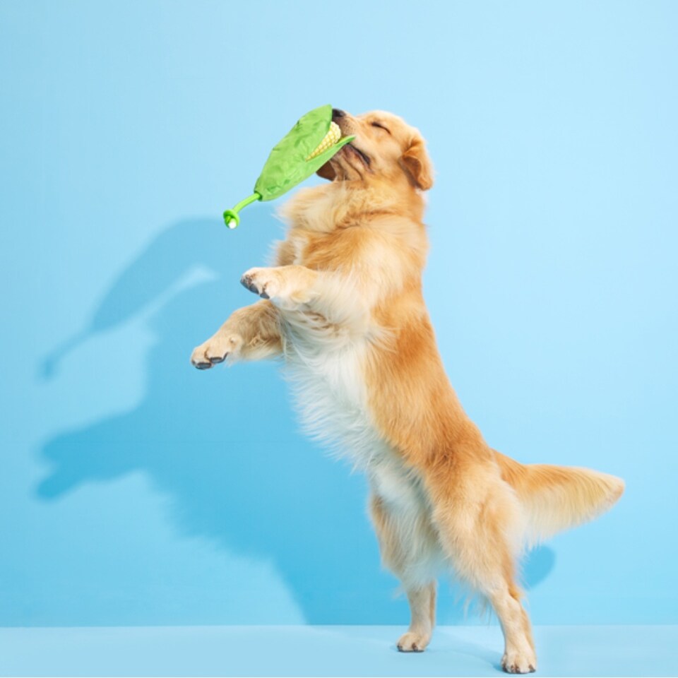 image 1 of BARK Corn On The Slob Dog Toy