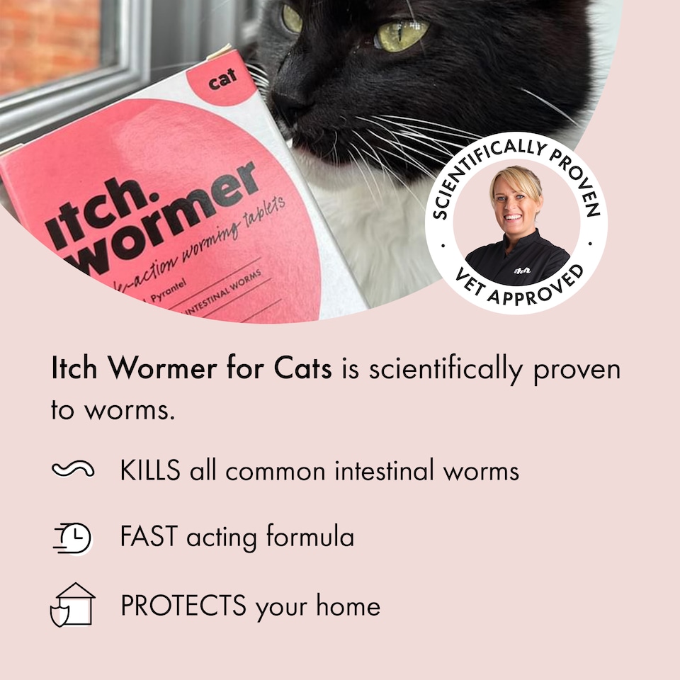 image 1 of Itch Cat Wormer Tablets for Cats 1kg+ 4 Tablets