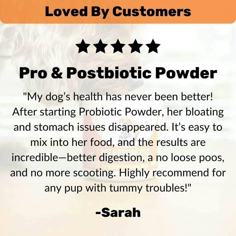 image 1 of Pre, Pro & Postbiotic Powder