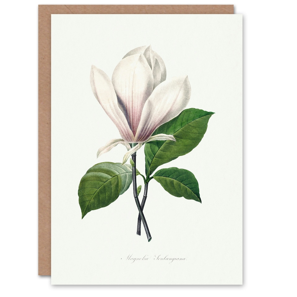 image 1 of Pierre-Joseph Redouté Art Card Saucer Magnolia Flower