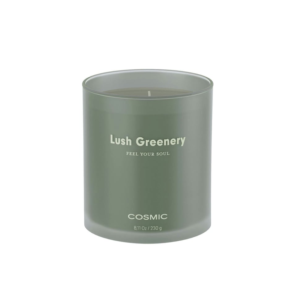 image 1 of Cosmic Scented Candle Lush Greenery Olive Finish Handcrafted Soy Wax Candles