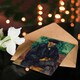 image 4 of Paul Cezanne Art Card The Gardener Vallier Portrait Painting