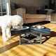 image 3 of HugglePets Adjustable Pet Dog Double Diner Black