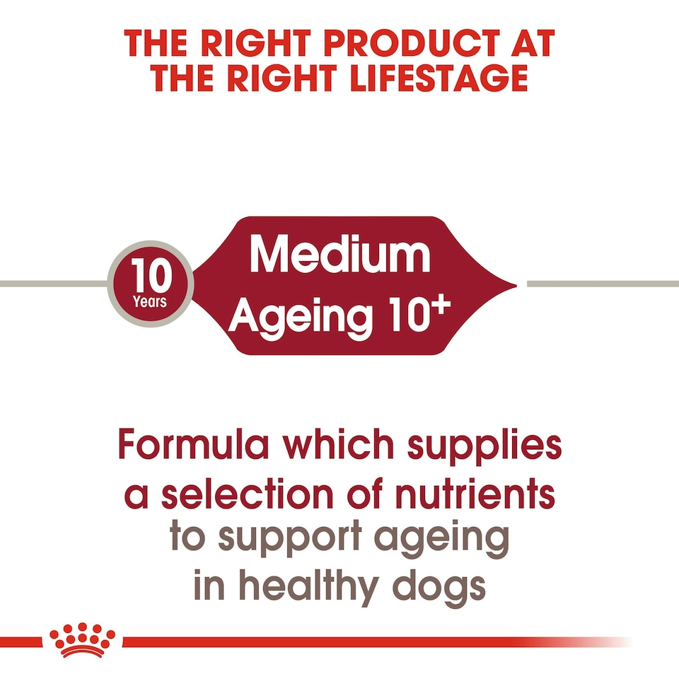 image 1 of Royal Canin Medium Ageing 10+ N/A | Size: 3kg
Breed: Adult